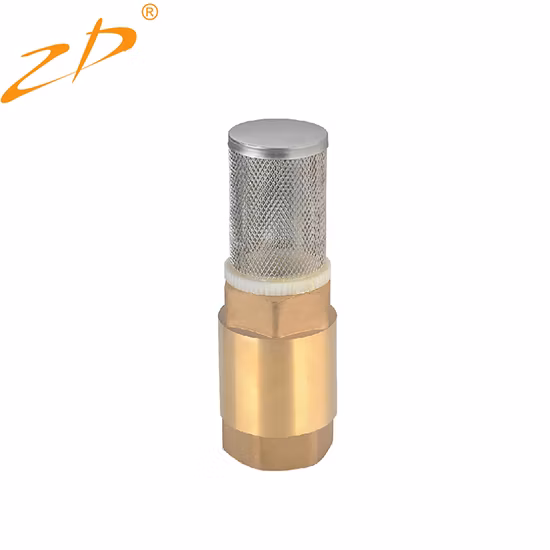 Clapet anti-retour d'eau à bille en laiton pour pied femelle à filetage vertical avec ressort pour empêcher le reflux 1/2 pouce