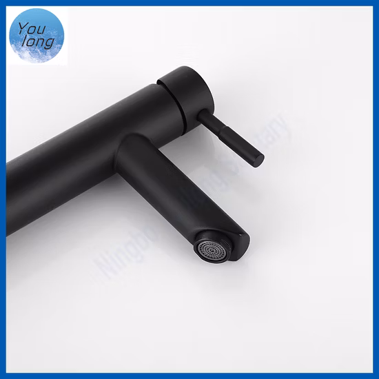Robinet mitigeur d'eau chaude et froide antique 304 en acier inoxydable noir mat robinet de lavabo de salle de bain
