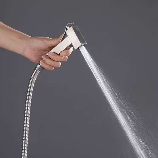 Laiton brossé horizontal en acier inoxydable 304 Bidet Shattaf WC Bidet